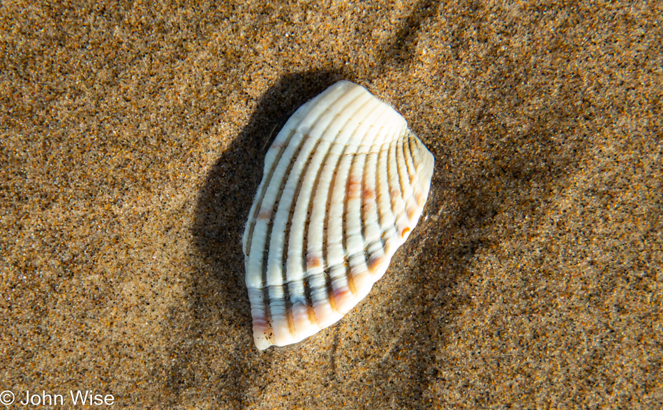 Manzanita Beach in Oregon