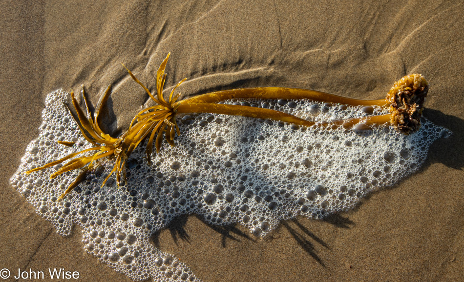 Manzanita Beach in Oregon