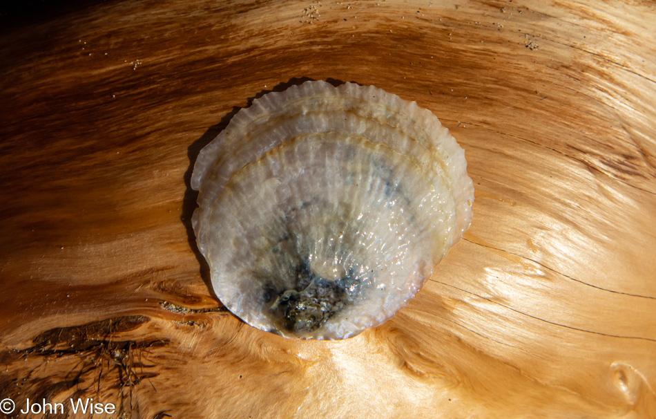 Nedonna Beach between Rockaway Beach and Nehalem Bay, Oregon