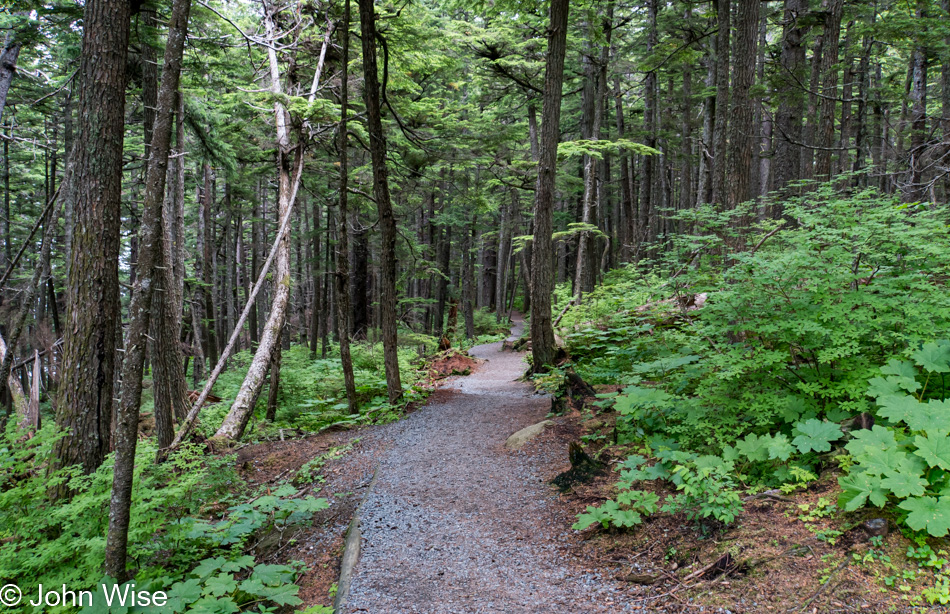 Chilkat State Park in Haines, Alaska