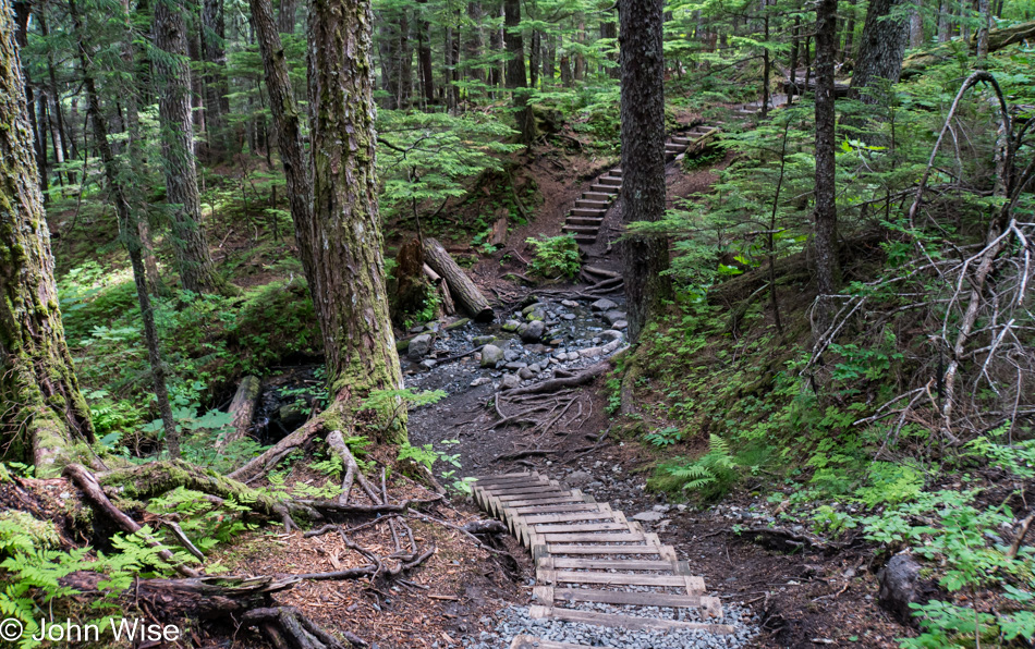 Chilkat State Park in Haines, Alaska