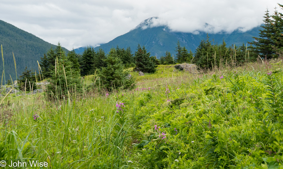 Chilkat State Park in Haines, Alaska