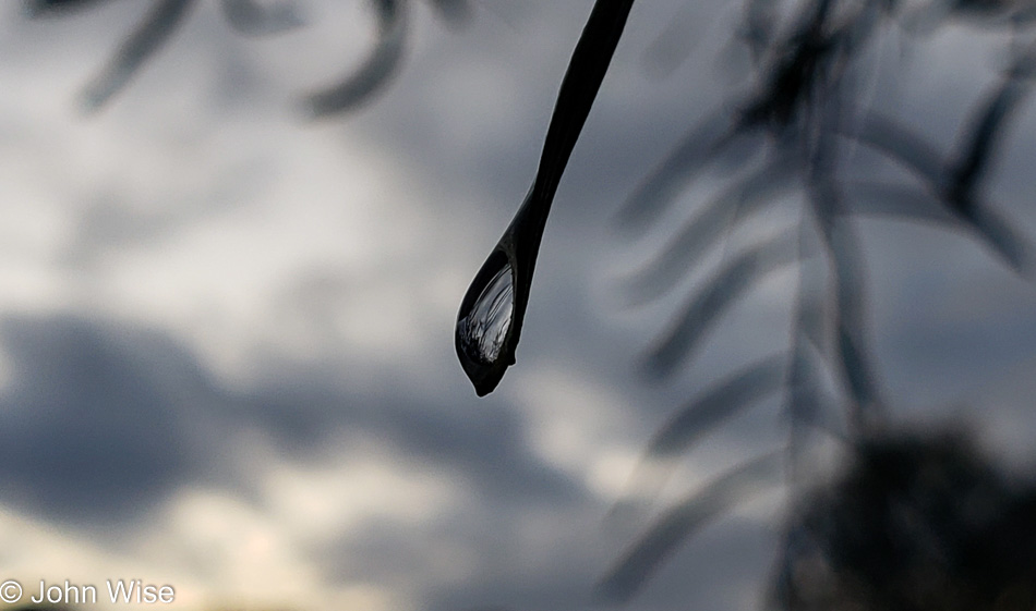 Rain in Phoenix, Arizona