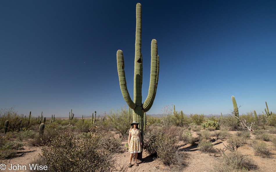 Caroline Wise at Saguaro National Park in Tucson, Arizona