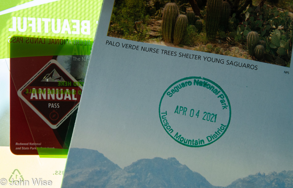 Saguaro National Park in Tucson, Arizona