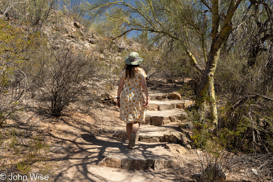 Caroline Wise at Saguaro National Park in Tucson, Arizona