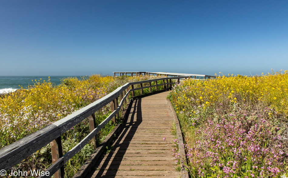 Central California Coast