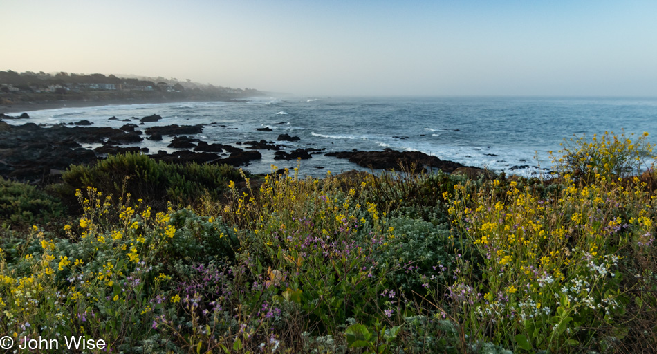 Moonstone Beach Boardwalk in Cambria, California