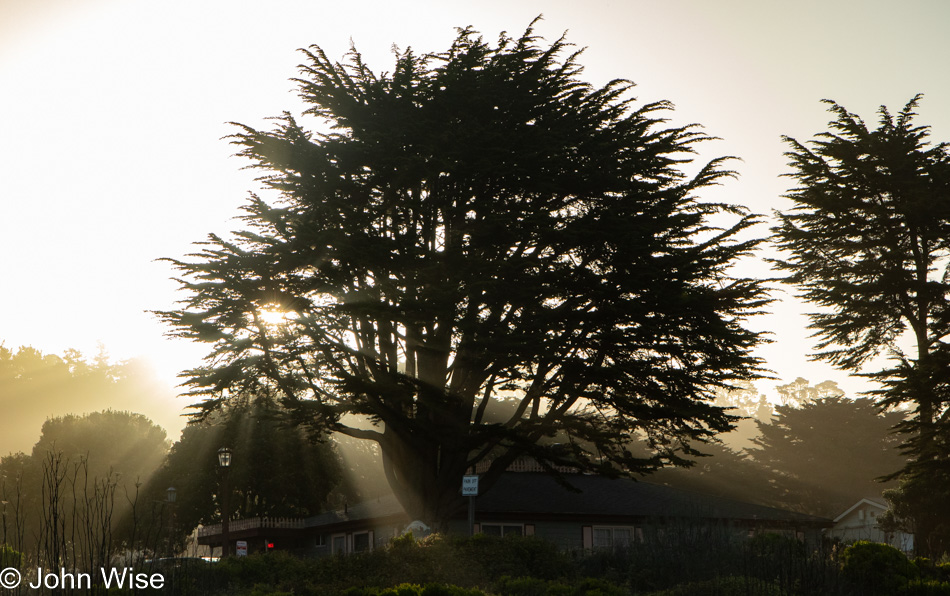 Moonstone Beach Boardwalk in Cambria, California