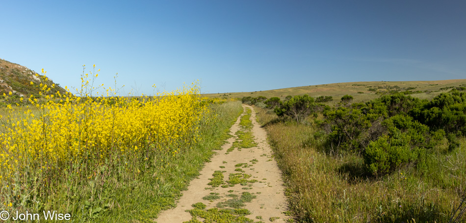 Harmony Headlands State Park in San Luis Obispo County, California