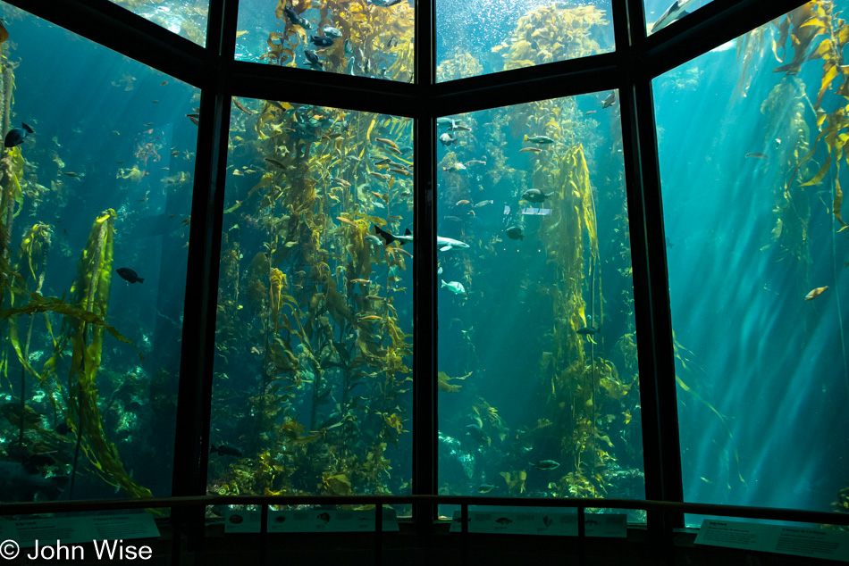 Monterey Bay Aquarium in Monterey Bay, California