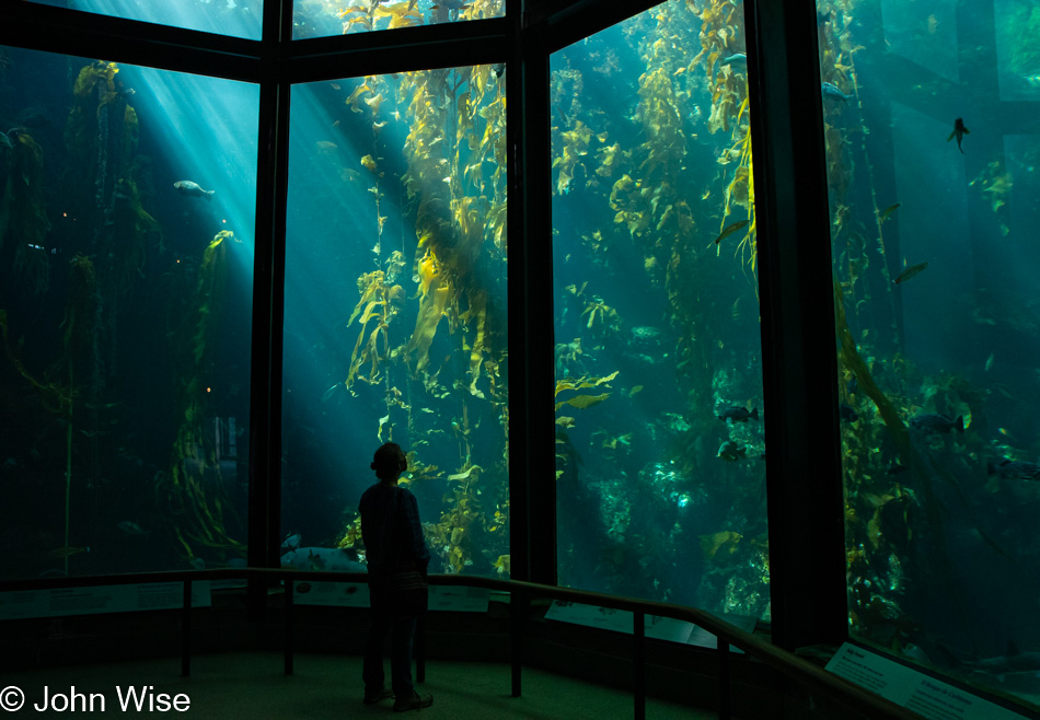 Caroline Wise at the Monterey Bay Aquarium in Monterey Bay, California