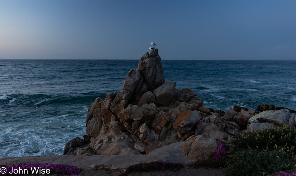 Pacific Grove, California