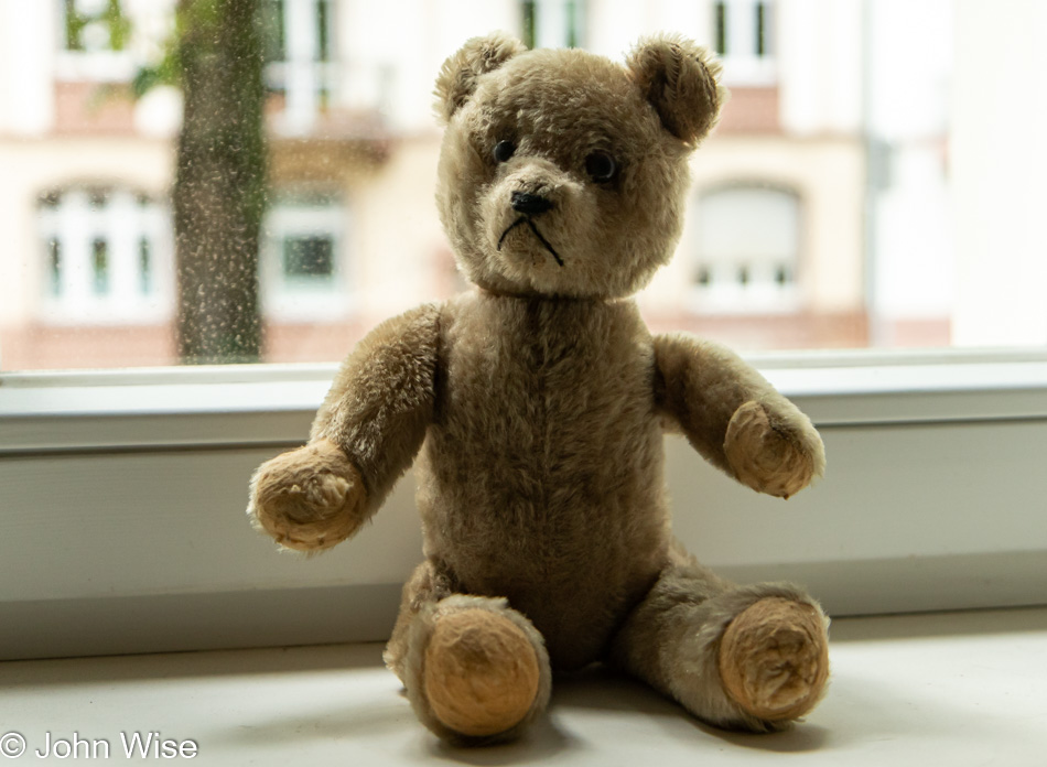 First Teddy Bear from Caroline Wise née Engelhardt of Frankfurt, Germany