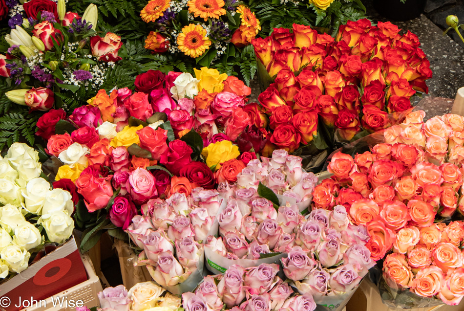 Flower display in Frankfurt, Germany