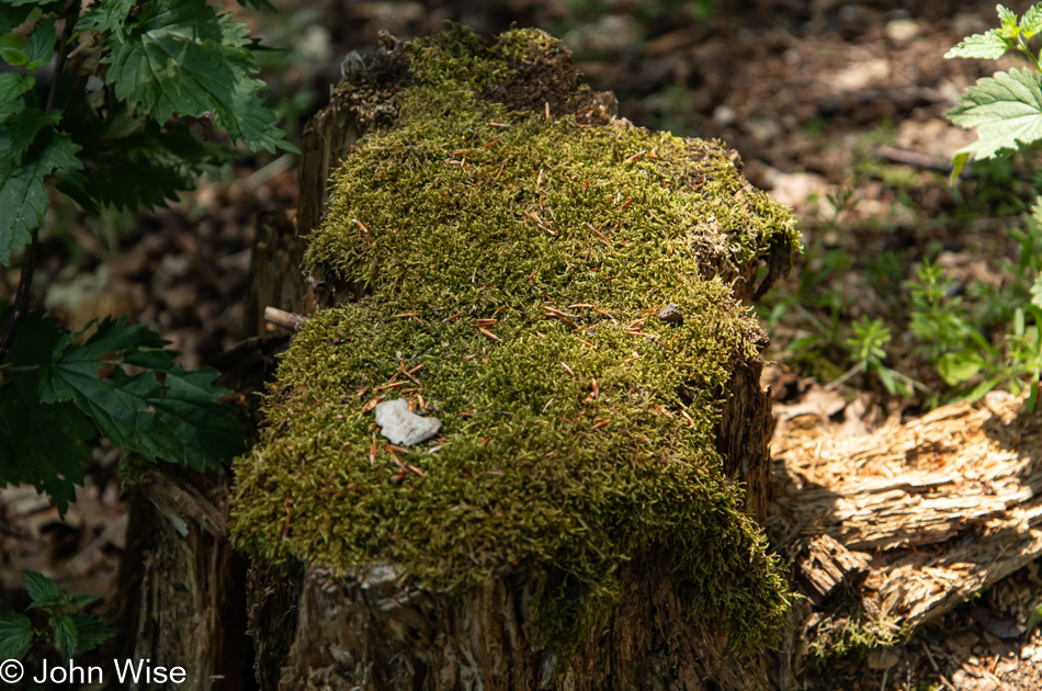 Taunus Mountains in Germany