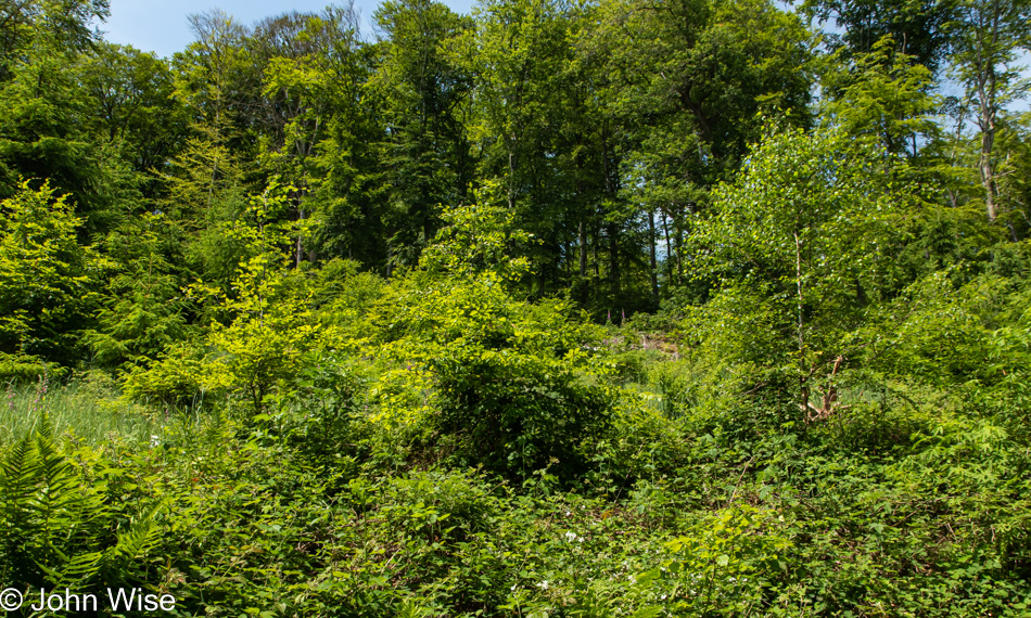 Taunus Mountains in Germany