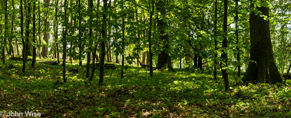 Taunus Mountains in Germany