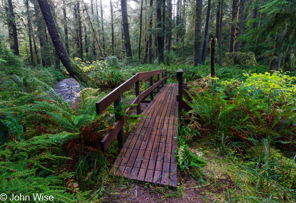 Carl G. Washburne State Park in Oregon