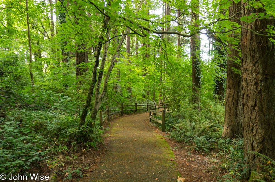 On the trail to the Willamette Stone in Portland, Oregon