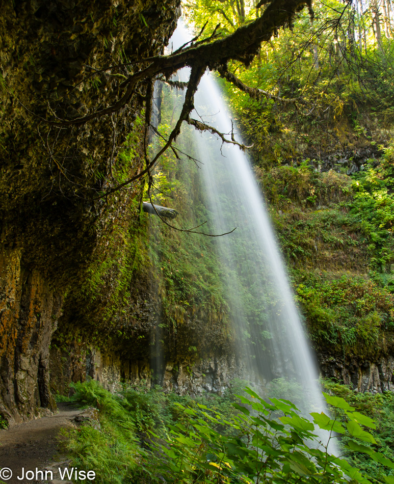 Silver Falls State Park in Sublimity, Oregon