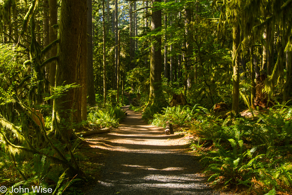 Silver Falls State Park in Sublimity, Oregon