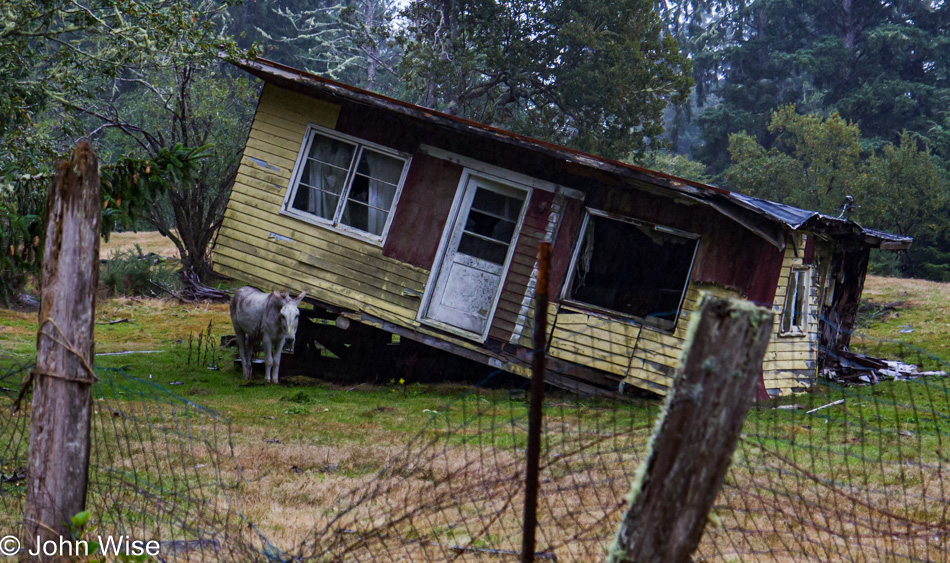 Oysterville, Washington