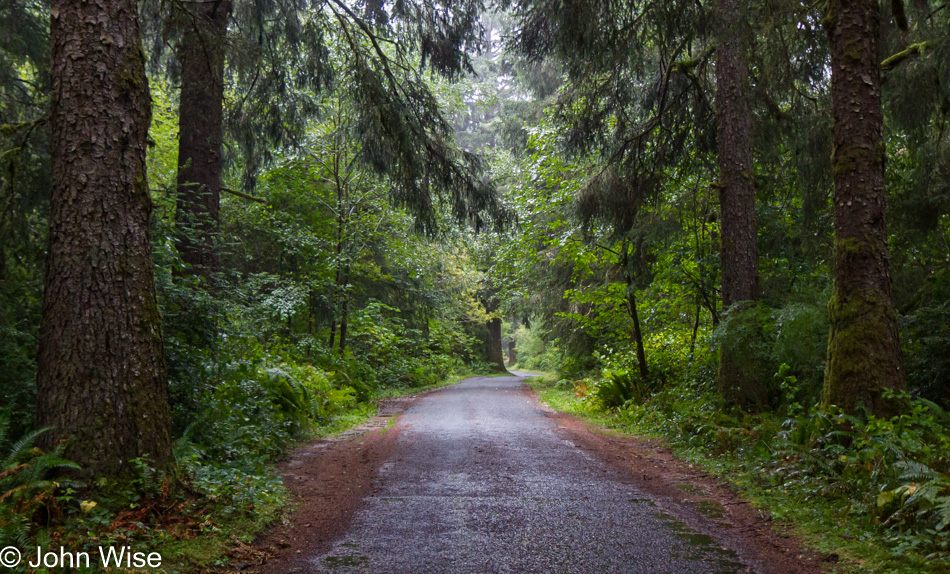 Leadbetter Point State Park Oysterville, Washington