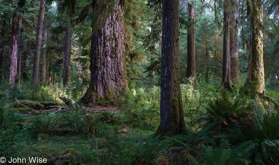 Near Olympic National Park, Washington