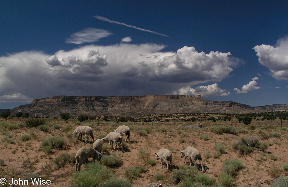 Navajo Reservation in northeast Arizona