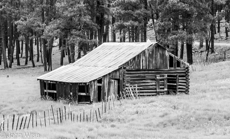 Near Hannagan Meadow on the Coronado Scenic Byway in Eastern Arizona