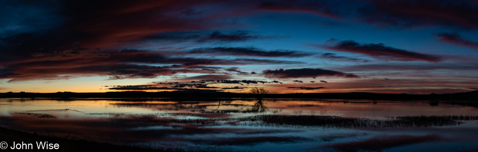 Bosque del Apache near Socorro, New Mexico