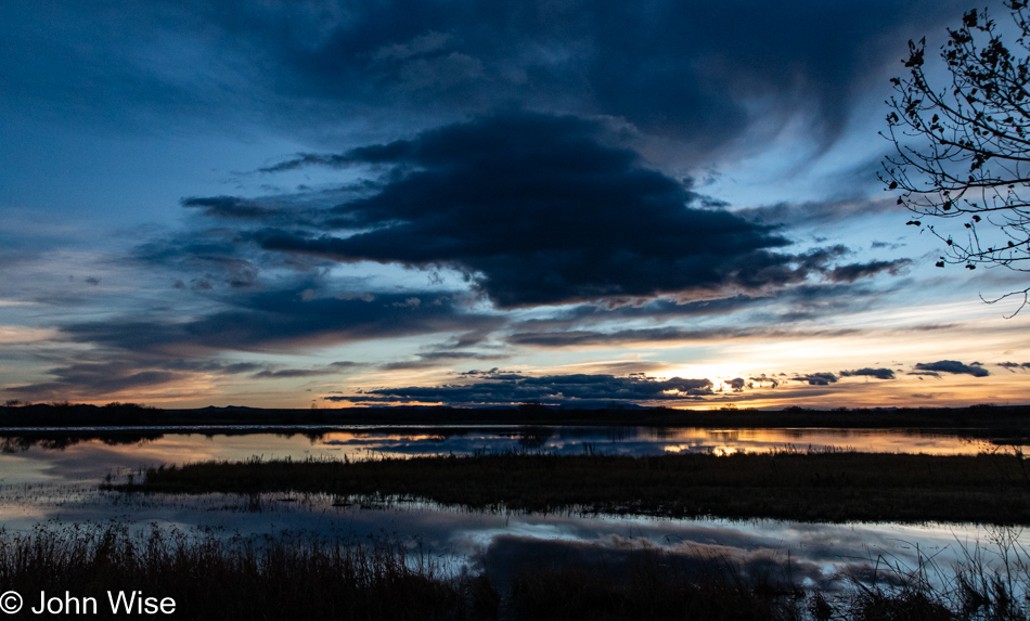 Bosque del Apache near Socorro, New Mexico