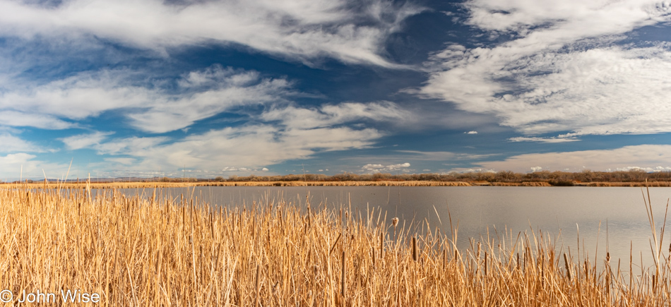 Bosque del Apache near Socorro, New Mexico