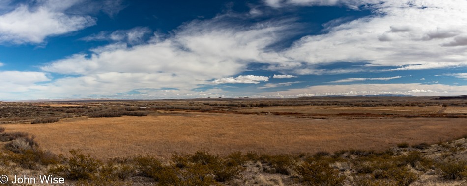 Bosque del Apache near Socorro, New Mexico