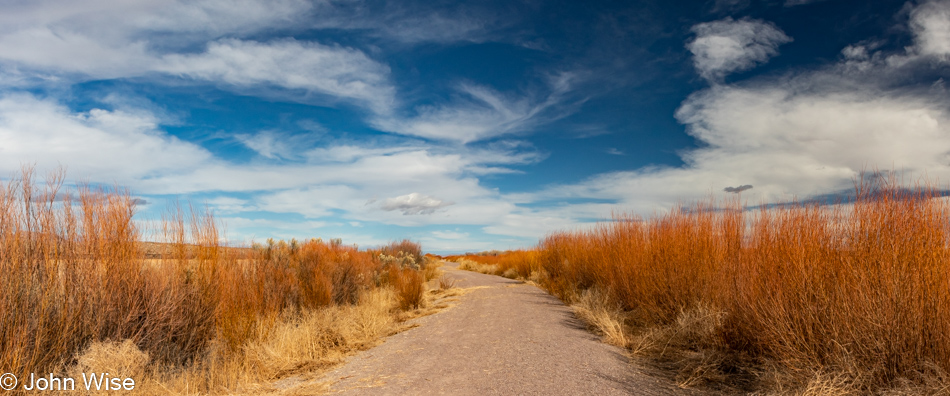 Bosque del Apache near Socorro, New Mexico