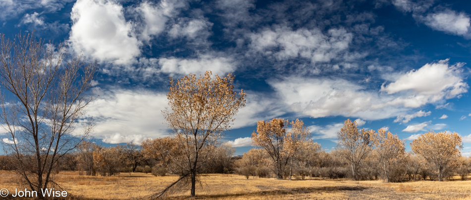 Bosque del Apache near Socorro, New Mexico