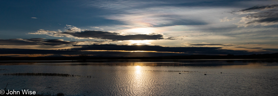 Bosque del Apache near Socorro, New Mexico