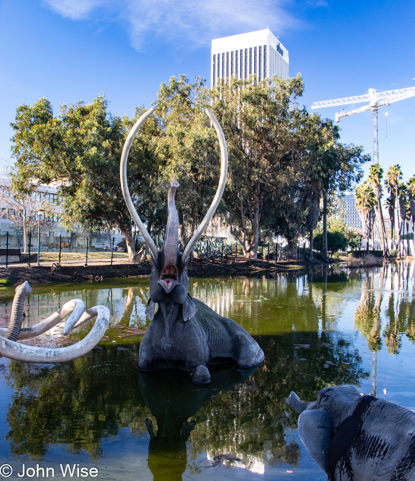 La Brea Tar Pits & Museum in Los Angeles, California