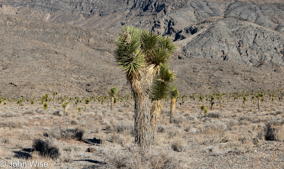 Road to Racetrack Playa in Death Valley National Park, California