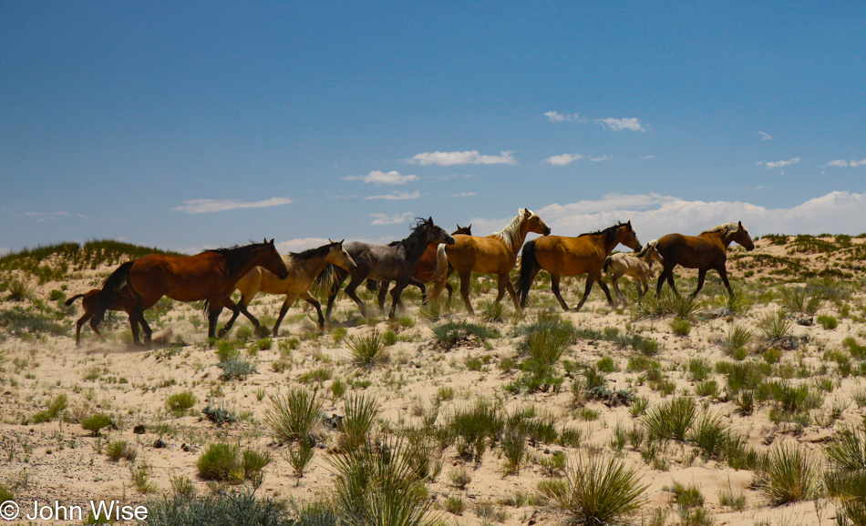 Hopi Reservation, Arizona