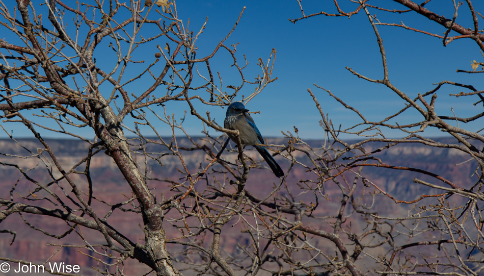 Grand Canyon National Park, Arizona