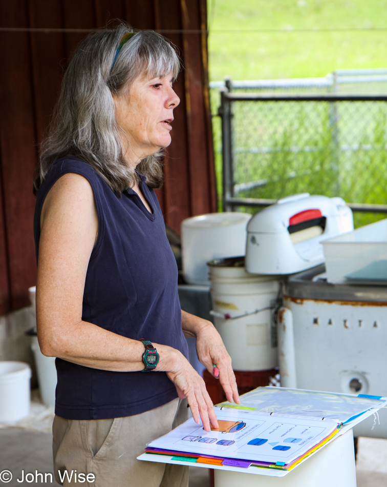 Dyeing Workshop in Blue, Arizona