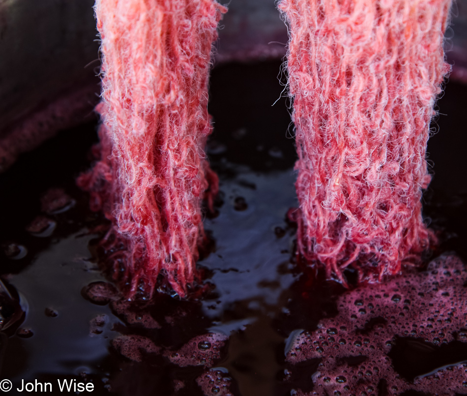 Dyeing Workshop in Blue, Arizona