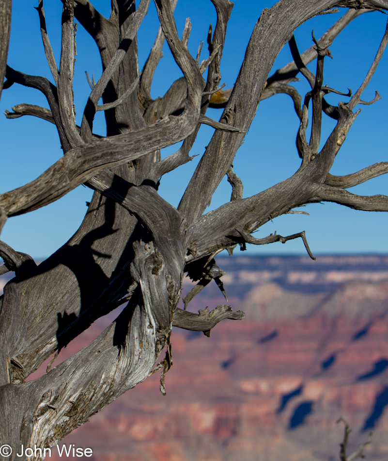 Grand Canyon National Park, Arizona