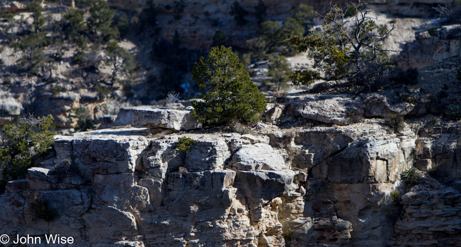 Grand Canyon National Park, Arizona