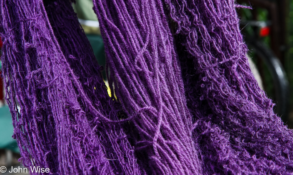 Dyeing Workshop in Blue, Arizona