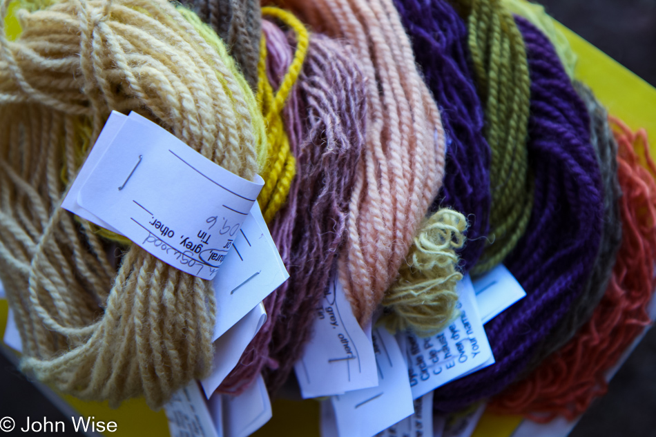 Dyeing Workshop in Blue, Arizona