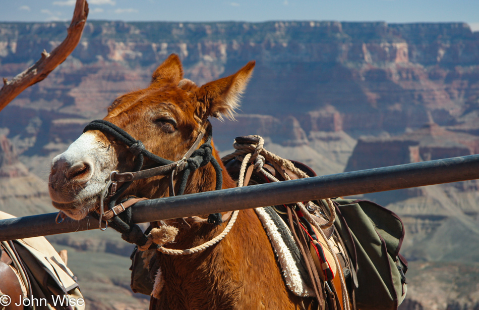 Grand Canyon National Park, Arizona