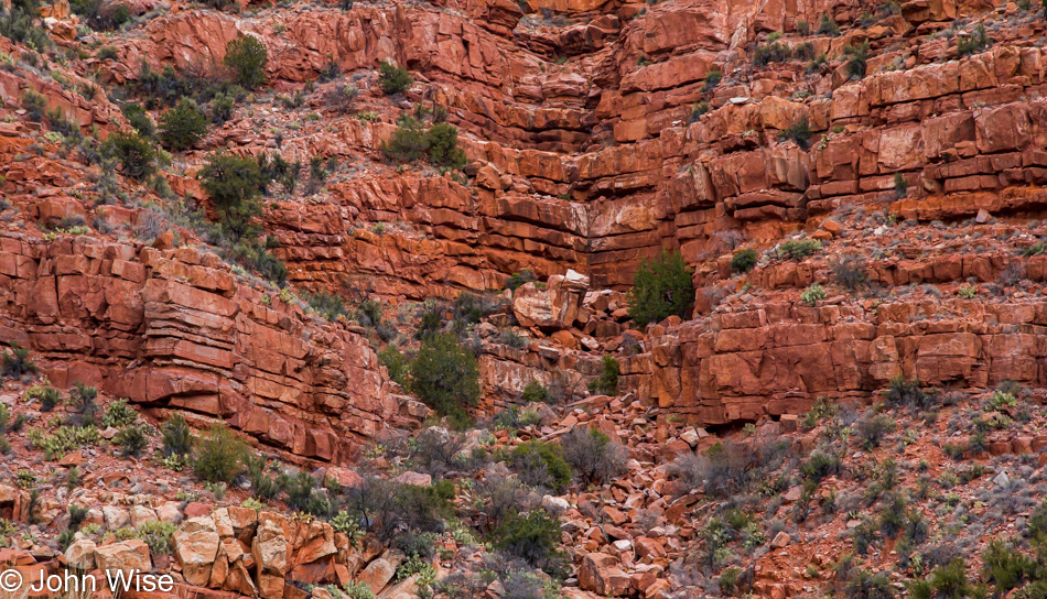 On the Verde Canyon Railroad in Arizona